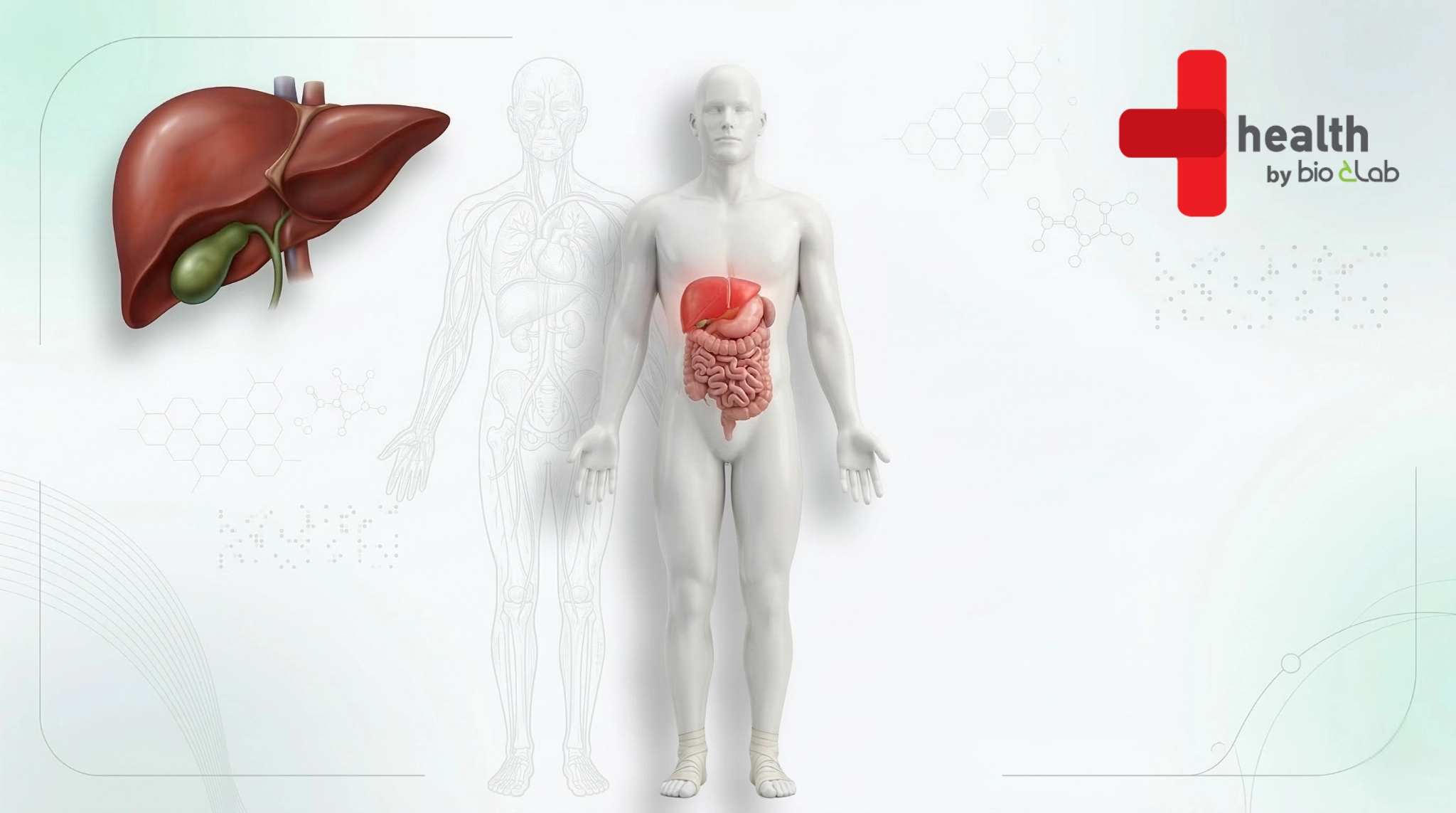 γ-GT: Ο φύλακας του ήπατος σας